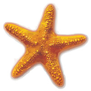 Sea Star Pool Mosaic