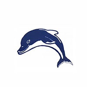 Dolphin Small Pool Mosaic