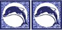 Dorado Blue Pool Tiles